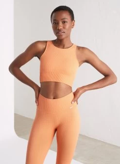 Papaya Ribbed Seamless Crop Top