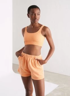 Papaya Ribbed Seamless Bra -AIM'N NL Winkel 4be421aa87ccdeed54b91a0514a136b331bd56739b14a23148681c8d9633c003