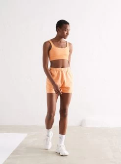 Papaya Ribbed Seamless Bra -AIM'N NL Winkel 6298f1de00481f9df20edaabe358a11da0e36569cd7ae6ecf5e67b831bdf0d3c