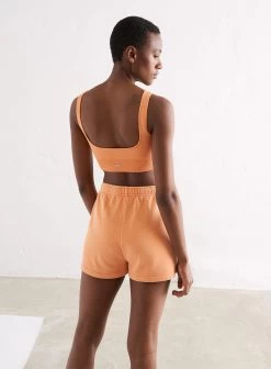 Papaya Ribbed Seamless Bra -AIM'N NL Winkel dd05860d4e63e7df06cd7907a6892105f8b39fd9f1c169c752f4aea9faca68e6