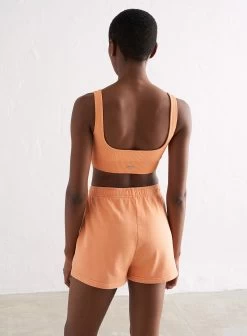 Papaya Sweat Shorts -AIM'N NL Winkel fcd560bcec7433b76d9e69c9f91924fa19cf92ef540b022517d6e0bfcececbff